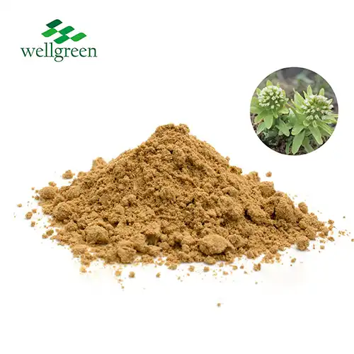 Petasites Hybridus Extract